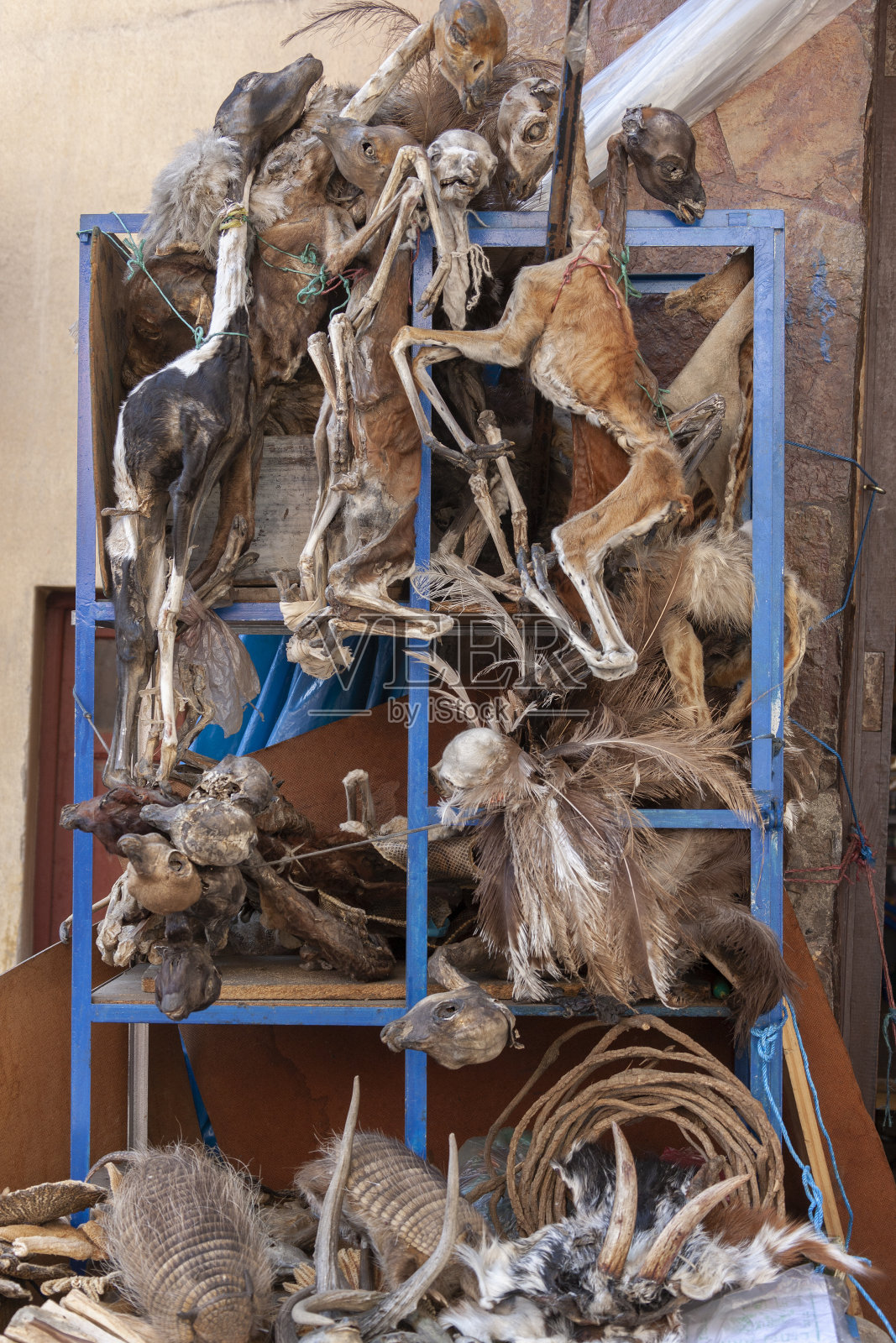 玻利维亚拉巴斯市的女巫市场照片摄影图片