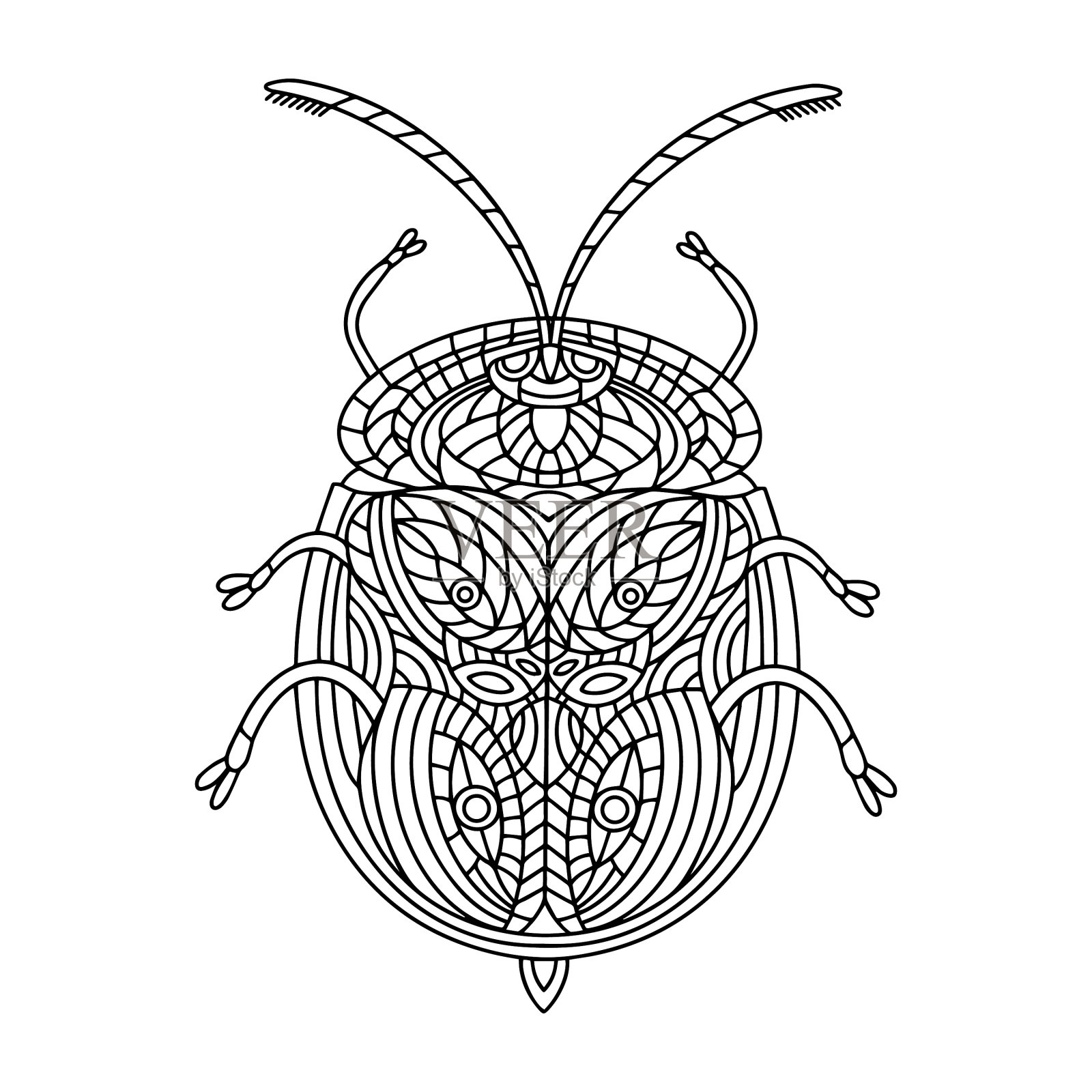 龟甲虫着色书tortuga甲虫插画图片素材