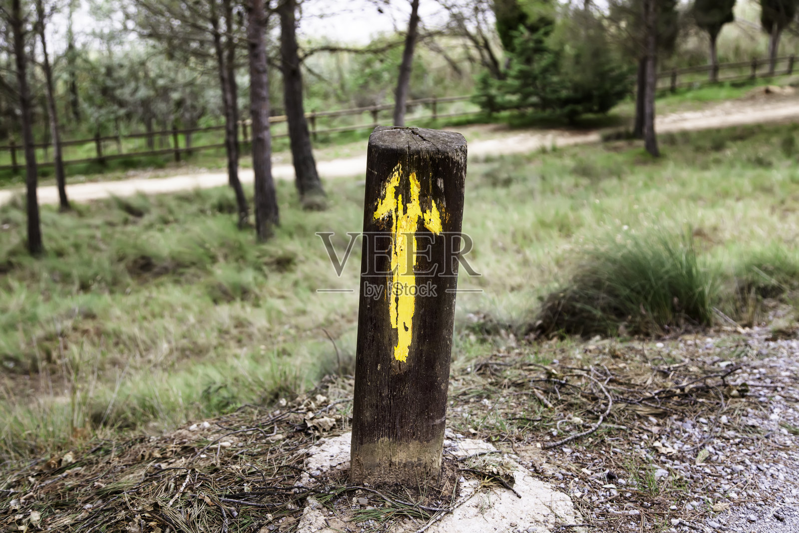 箭路青藤照片摄影图片