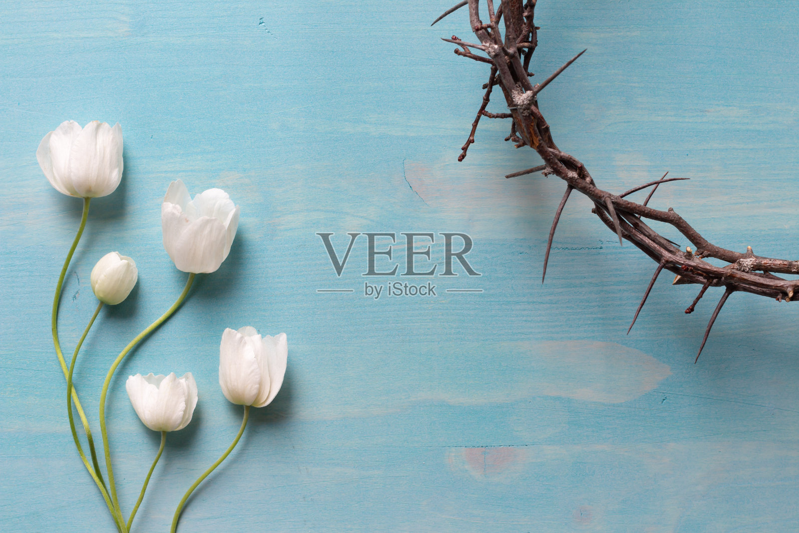 带刺花冠的白色银莲花照片摄影图片