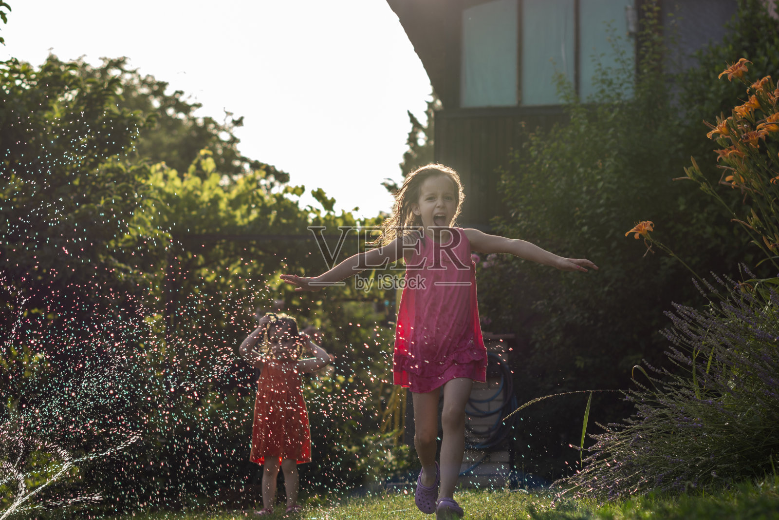 孩子们在花园里玩洒水器照片摄影图片