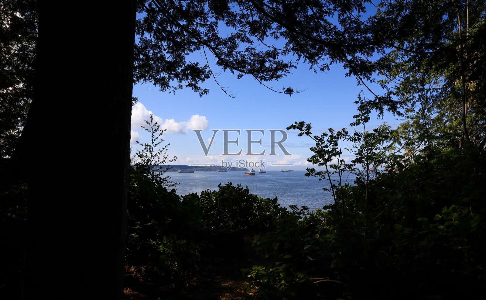 英语湾的观点照片摄影图片