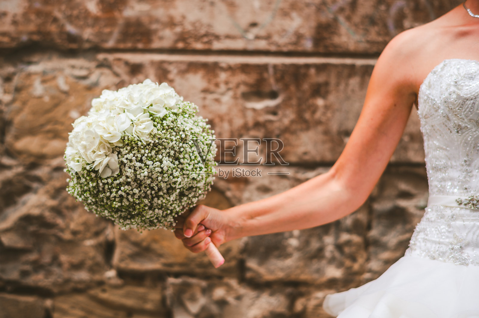 天竺葵与绣球花照片摄影图片