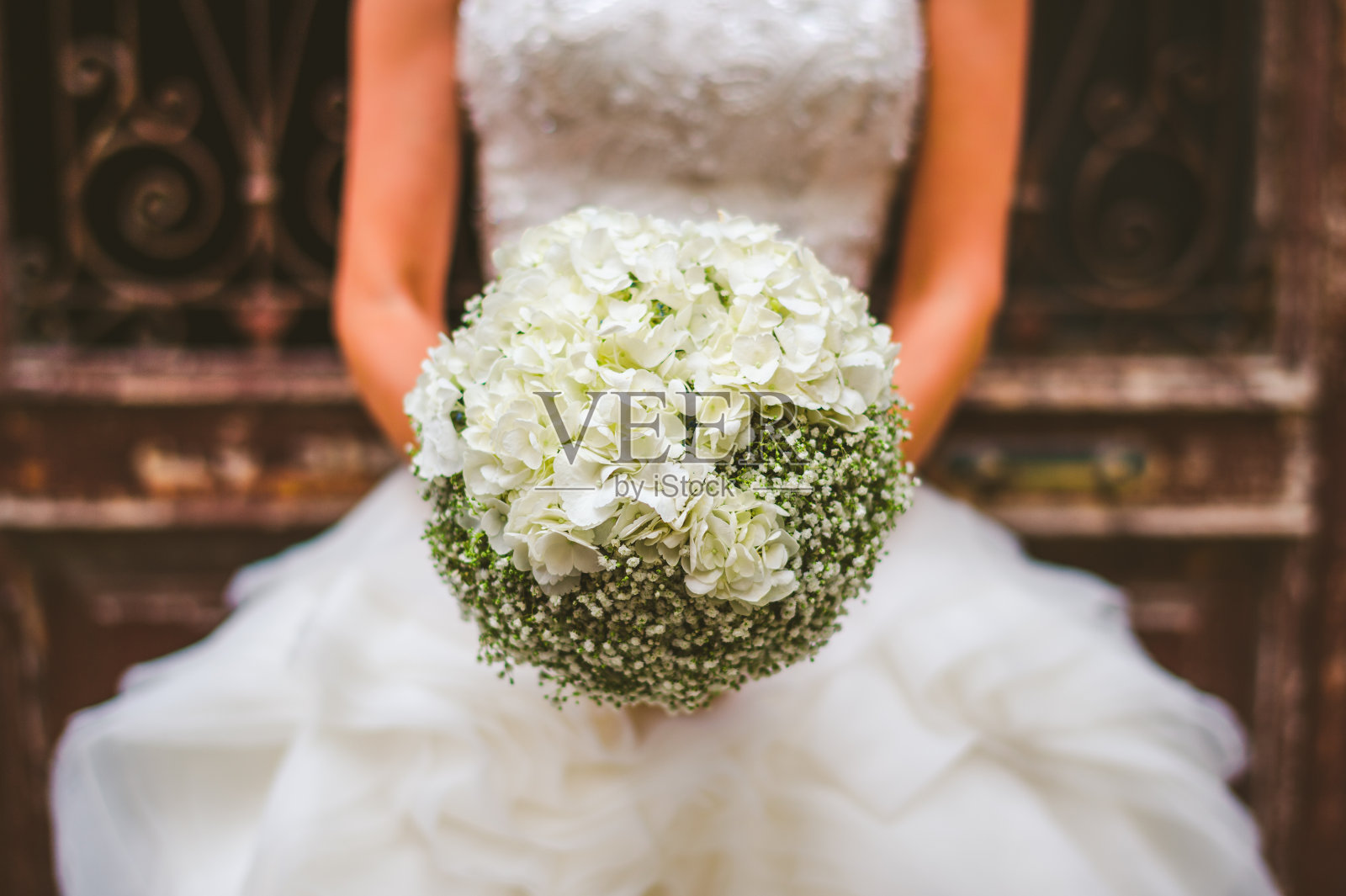 天竺葵与绣球花照片摄影图片