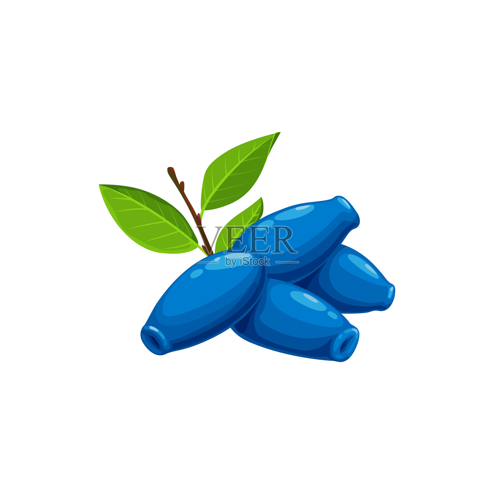 蓝色金银花，成熟浆果，孤立水果食品设计元素图片