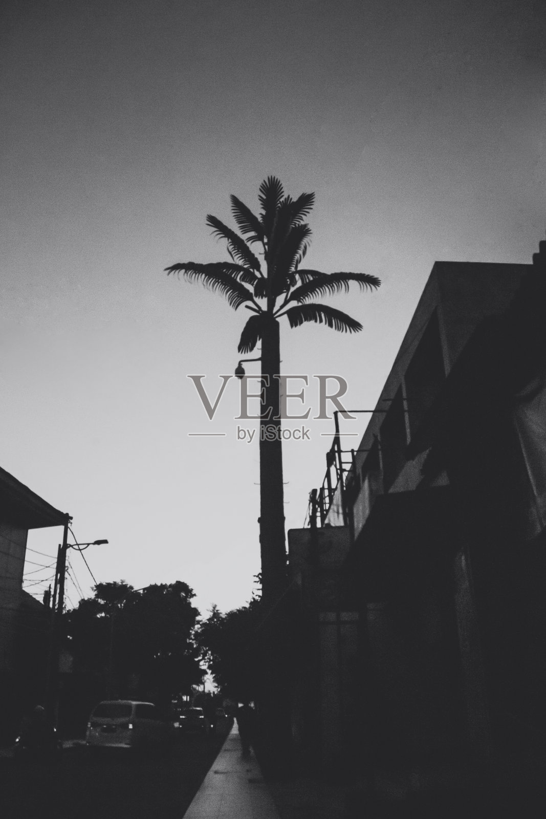 独特的极照片摄影图片