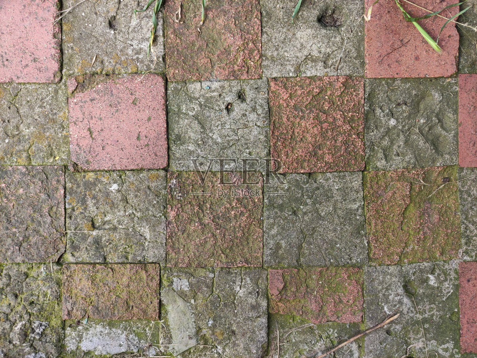 背景是旧的彩色瓷砖与草照片摄影图片