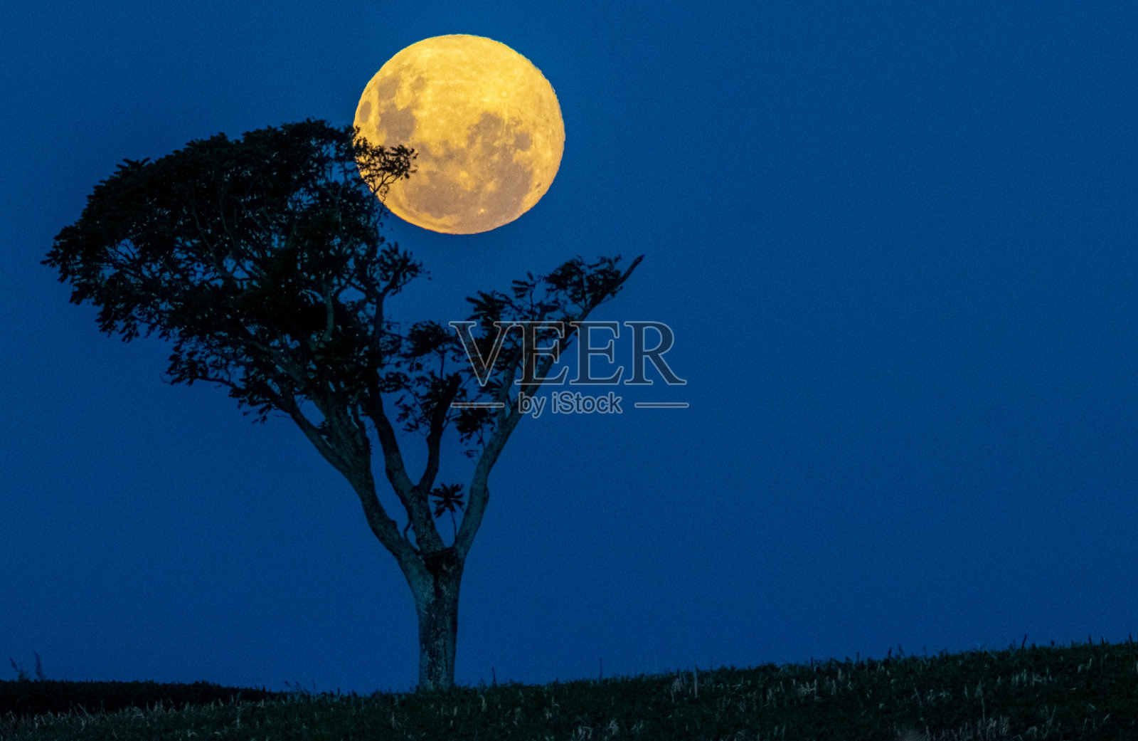 月光照片摄影图片