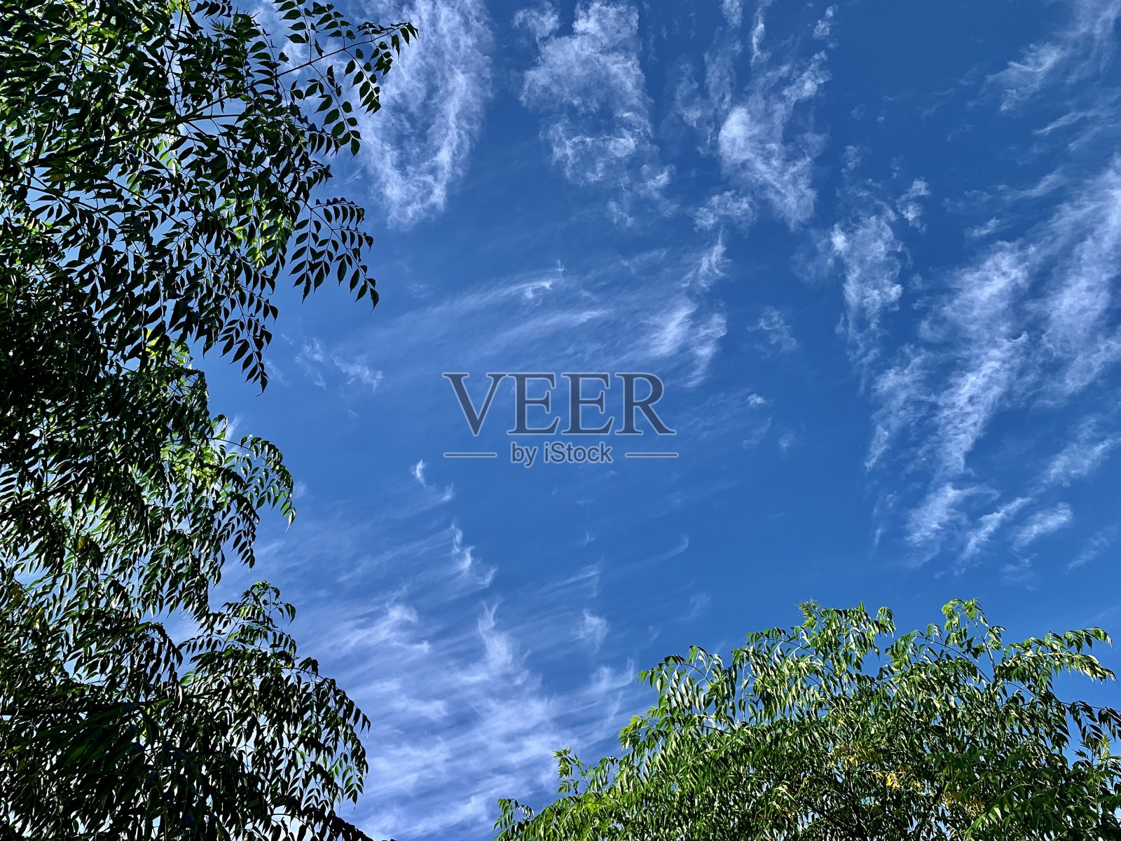 卷云照片摄影图片