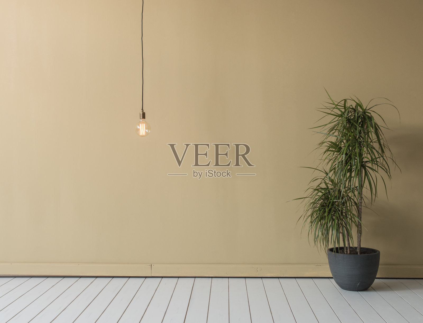 具有现代家居风格的室内设计照片摄影图片