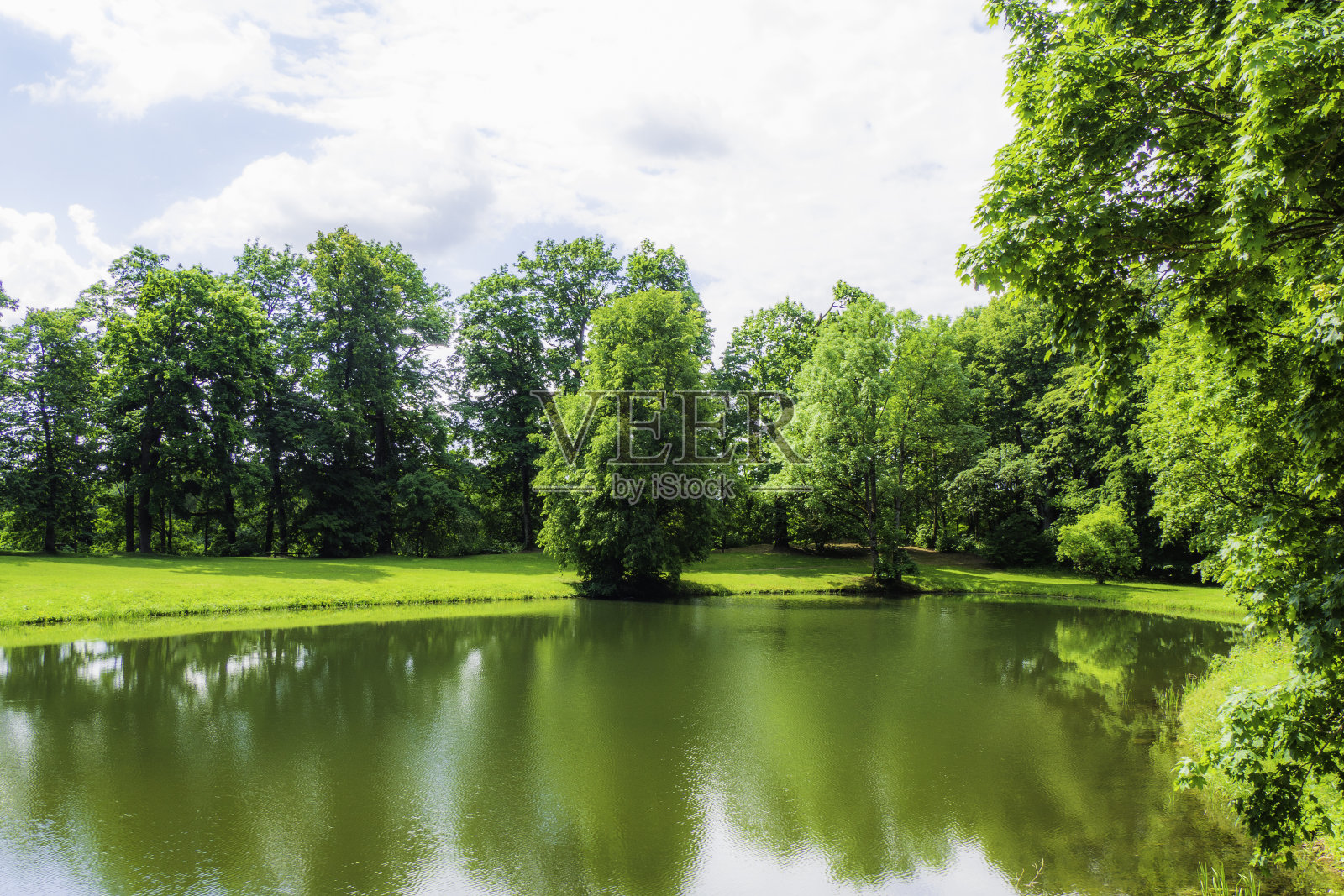 美丽的绿色公园在阴天与一个池塘照片摄影图片
