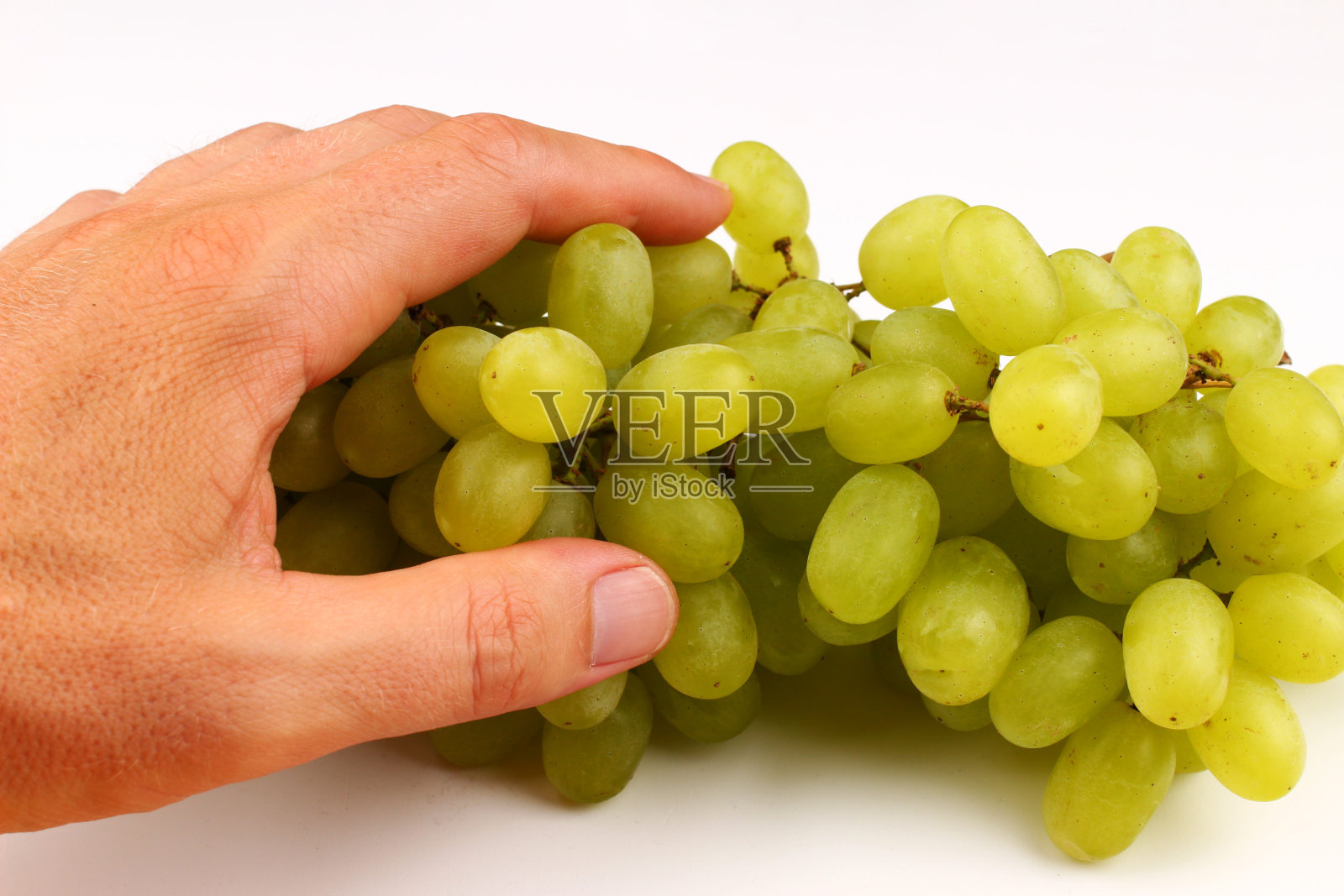 白葡萄Sultana Thompson无籽在白色的背景和一只手照片摄影图片