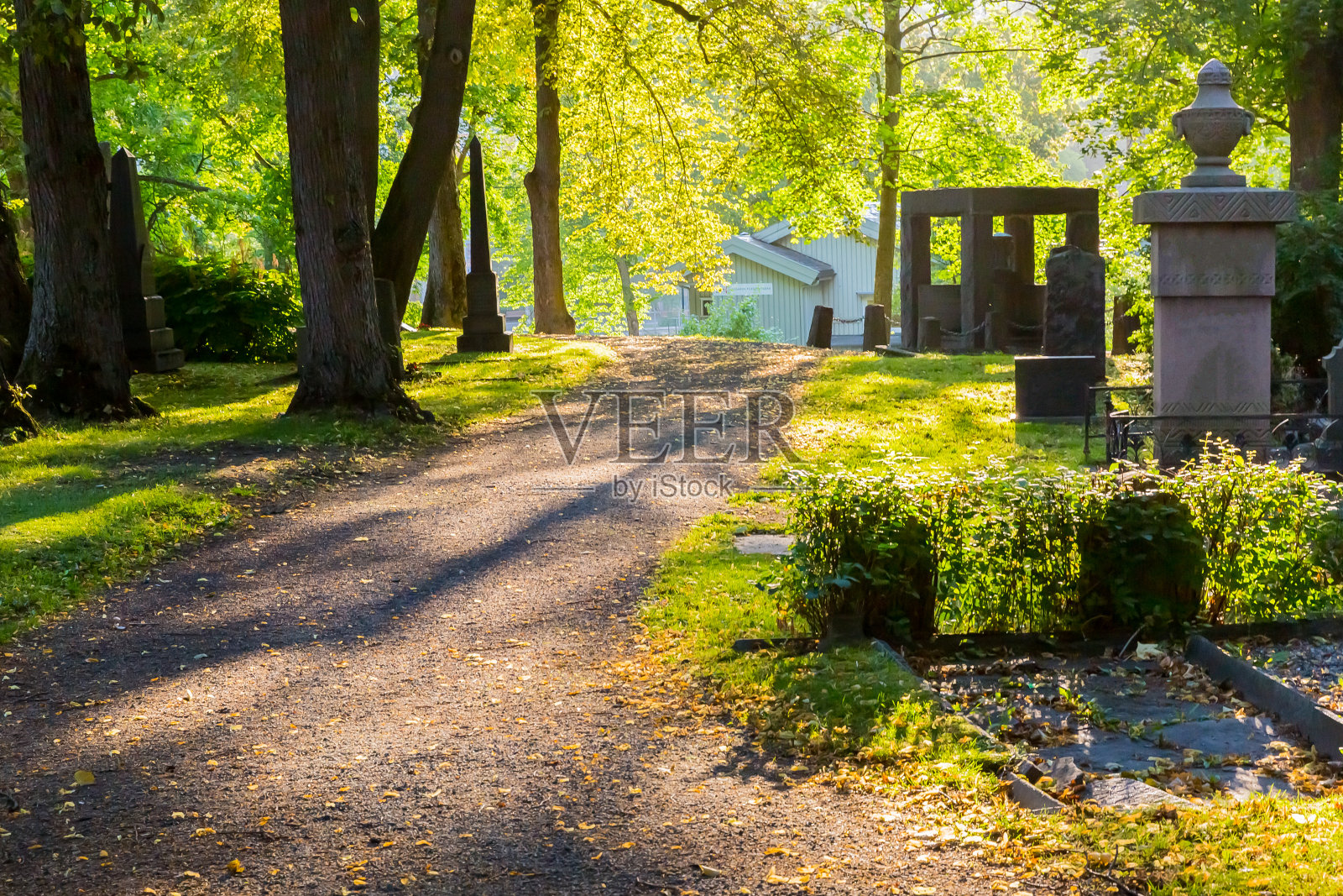 挪威特隆赫姆nidarosdomen大教堂墓地照片摄影图片