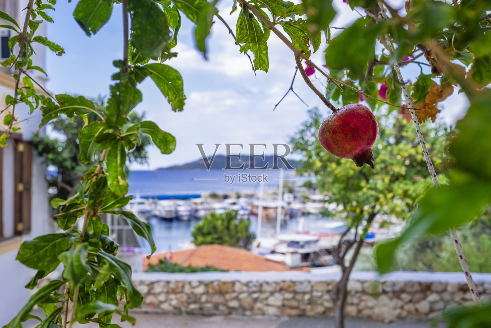 土耳其地中海沿岸卡斯镇的美丽景色，前景中有石榴照片摄影图片