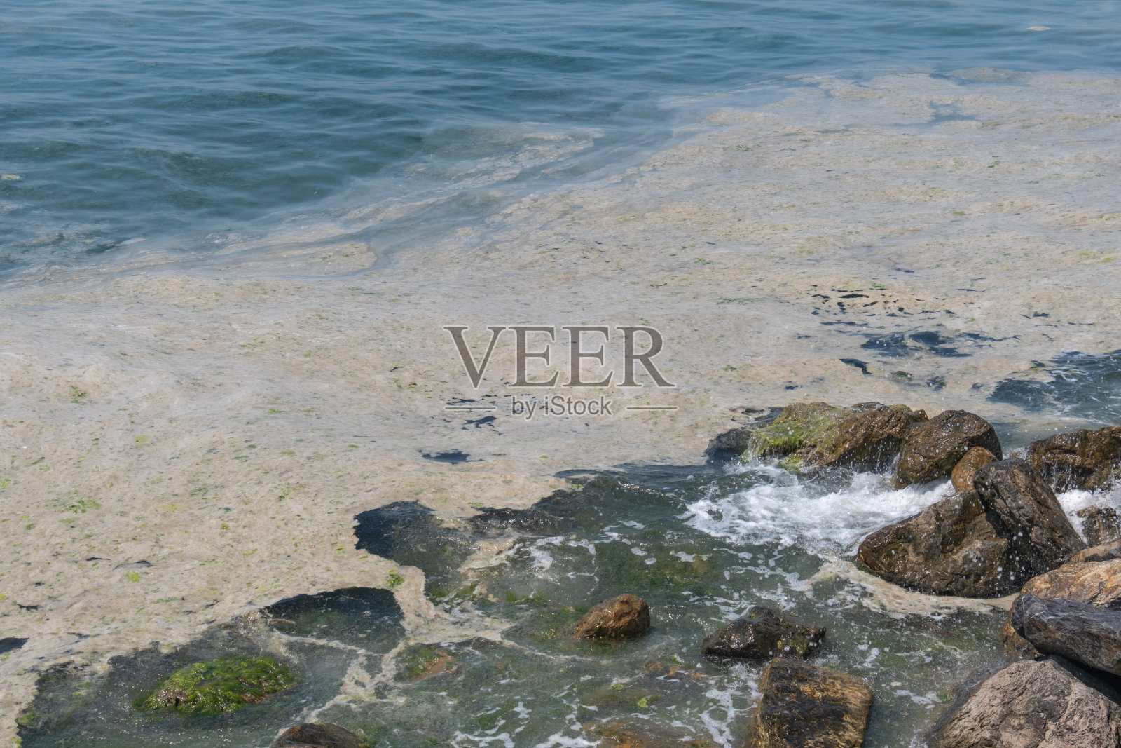 海面上的粘液，伊斯坦布尔，环境灾难，岩石海岸，照片摄影图片