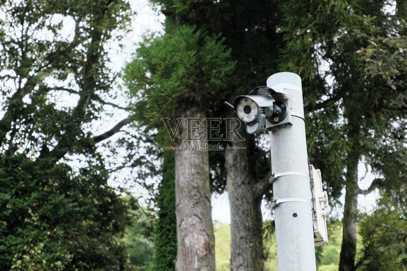 摄像头被大自然包围着照片摄影图片