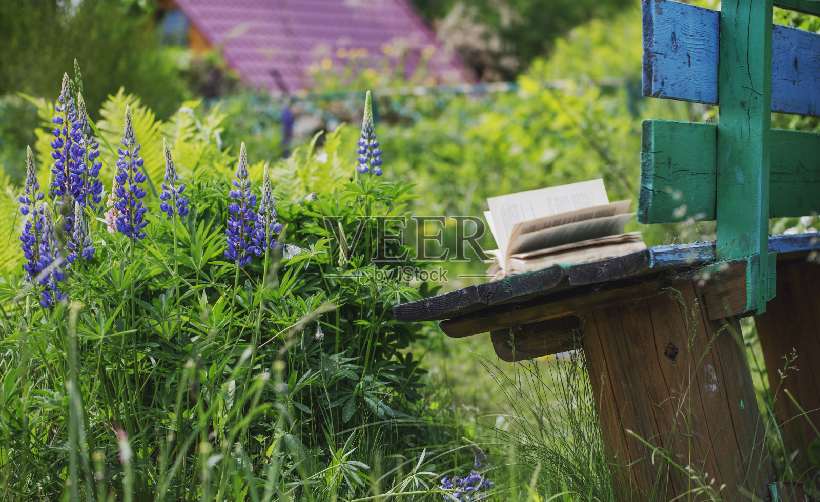 夏日花园的破旧长凳上放着一本旧书。照片摄影图片