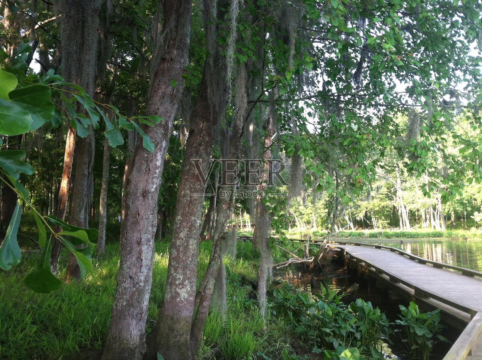 少人走过的路照片摄影图片