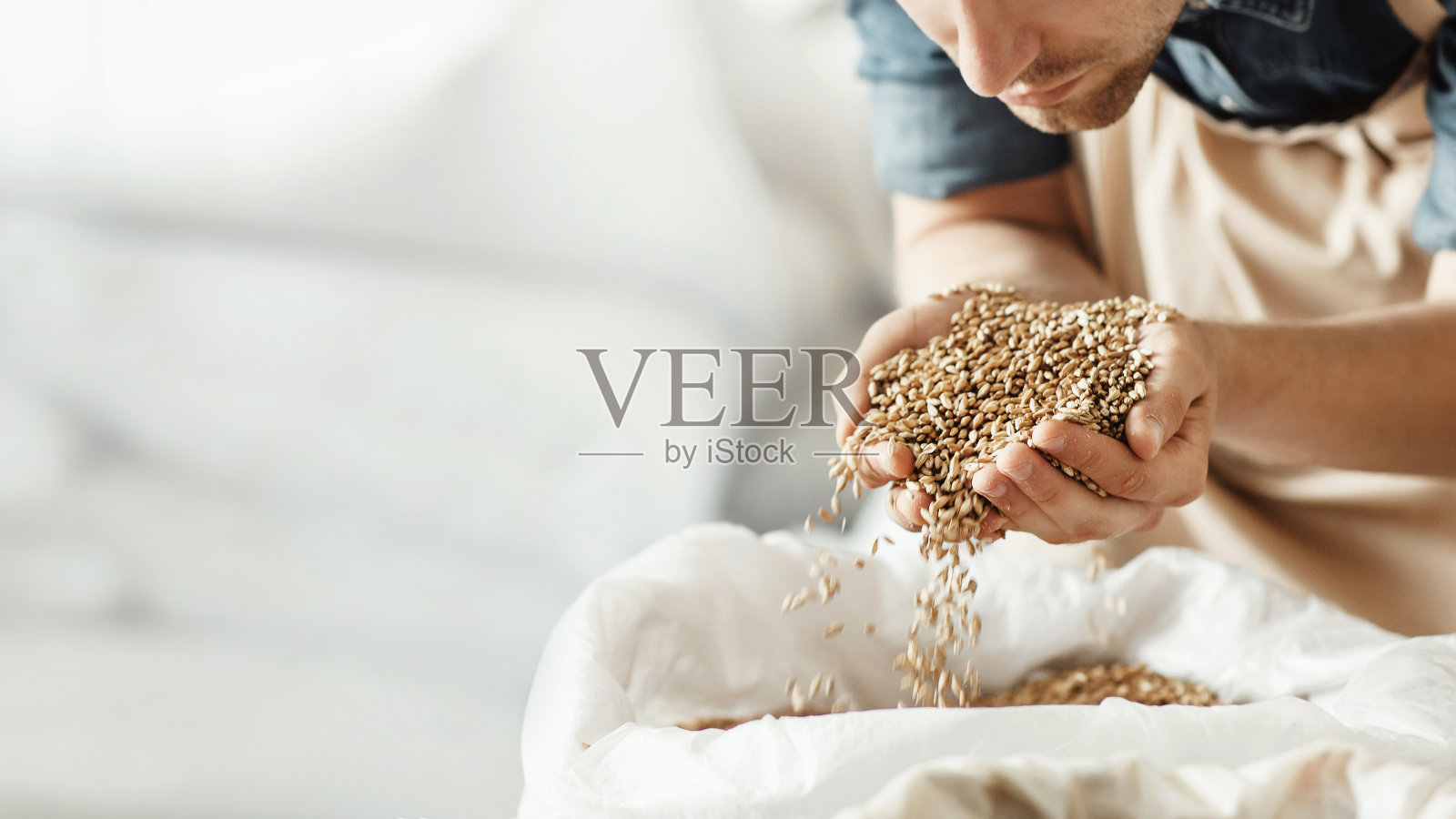 酿酒厂，小型企业和精酿啤酒的新鲜原料照片摄影图片