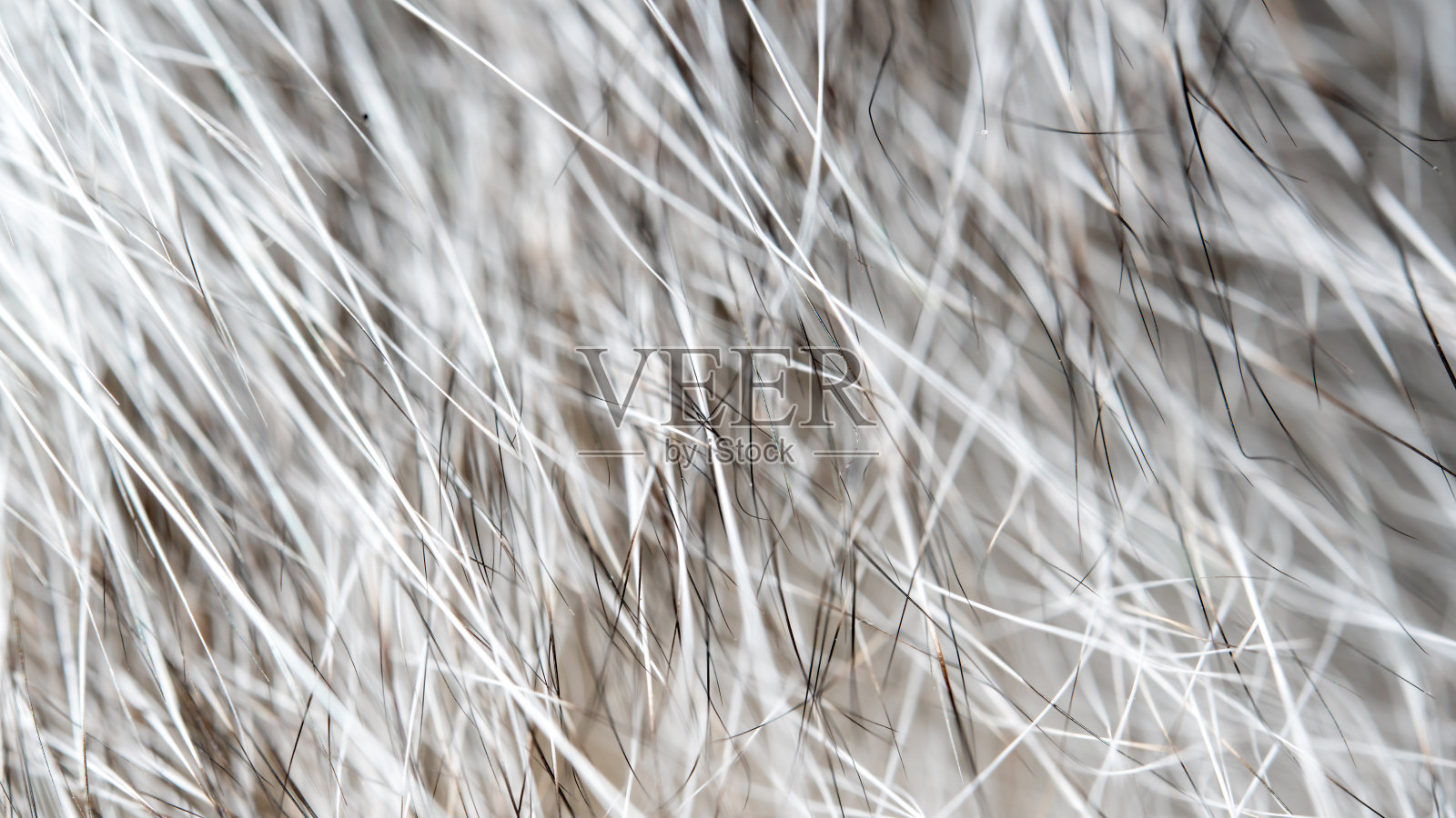 自然的照片照片摄影图片
