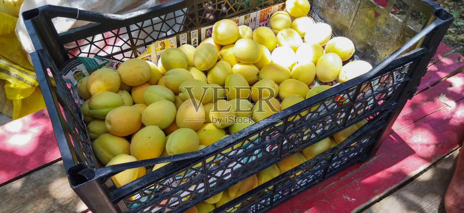 篮子里的杏子。五彩缤纷的杏子照片摄影图片