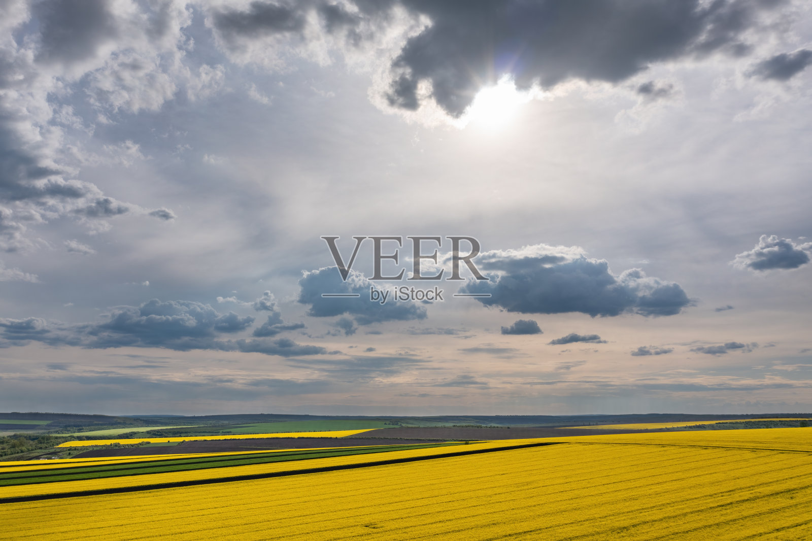 油菜田上空的云朵，航拍照片摄影图片