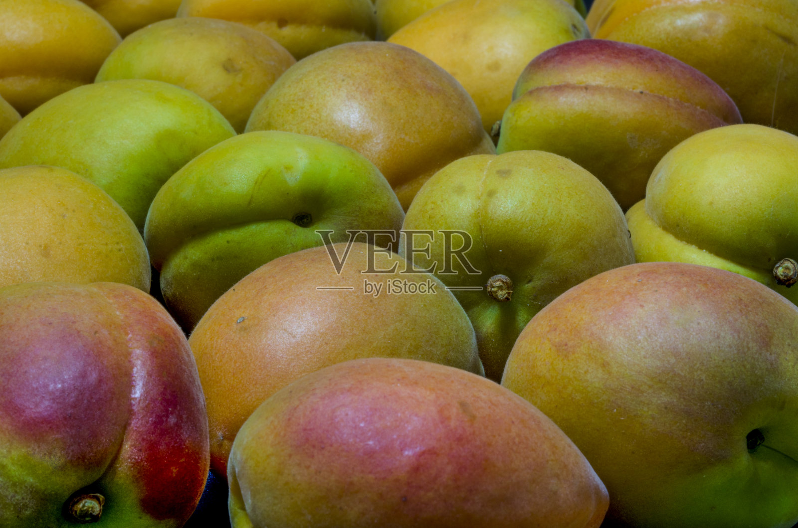 杏子照片摄影图片