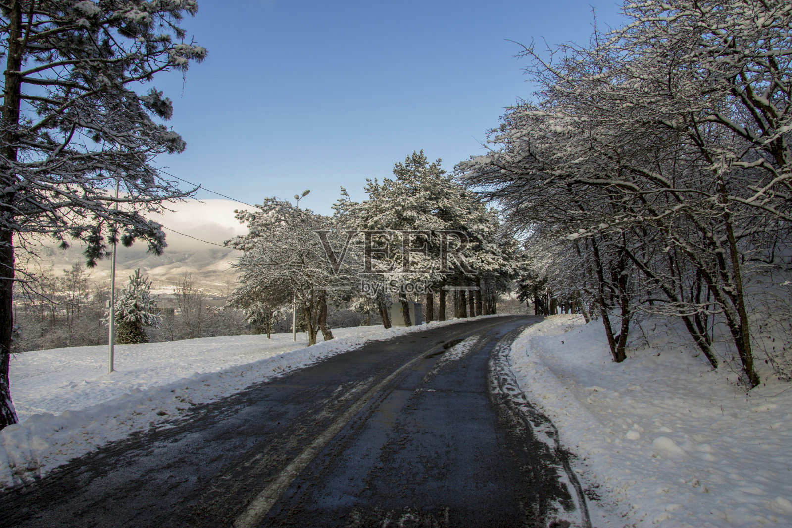 冬天蜿蜒的黑色柏油路和积雪的树木照片摄影图片