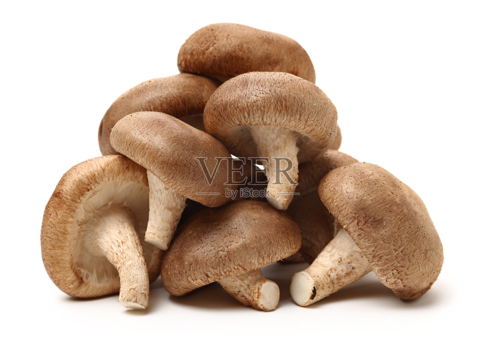 香菇照片摄影图片