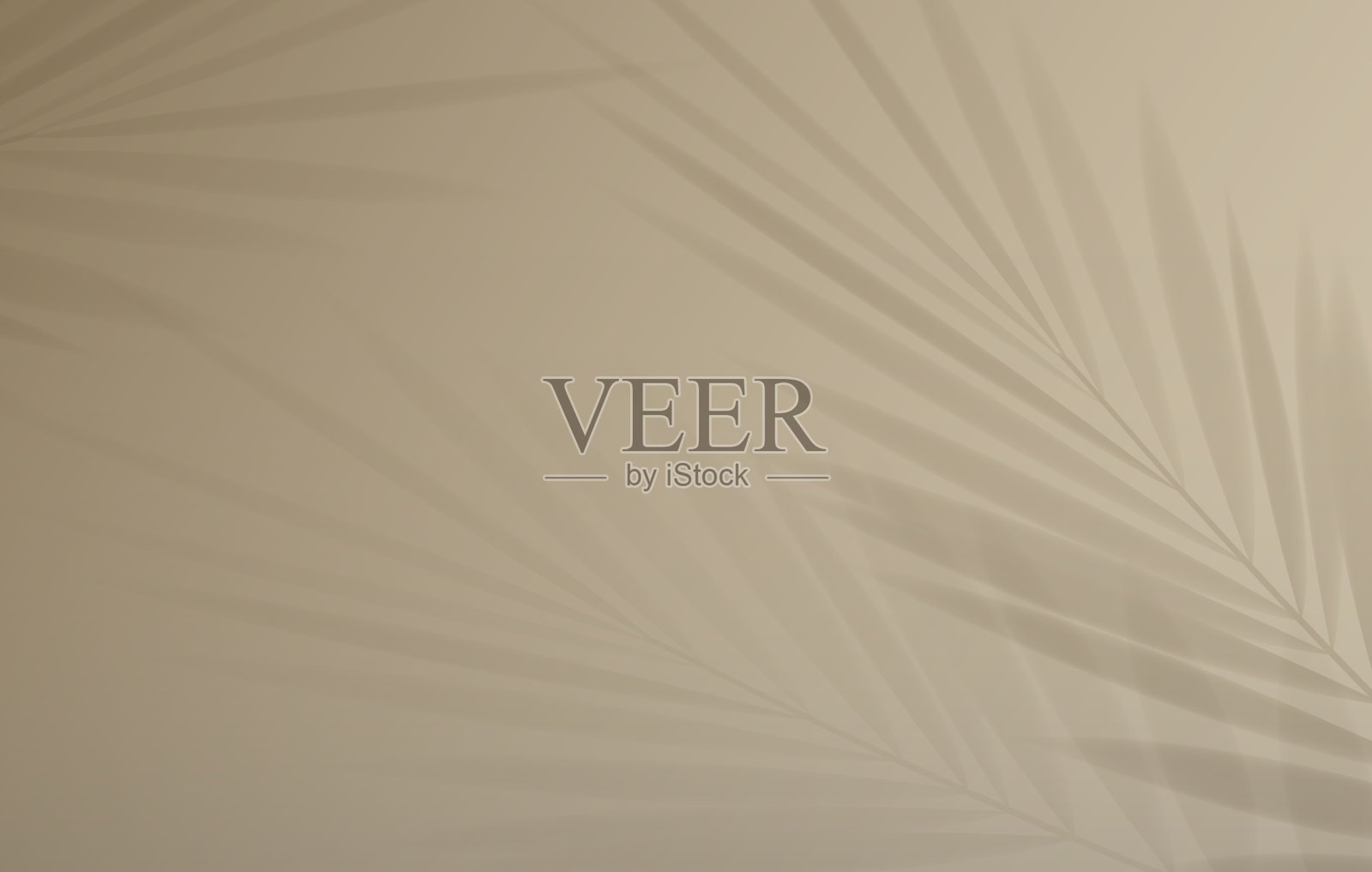 热带棕榈叶阴影在浅色粉彩背景。矢量图插画图片素材