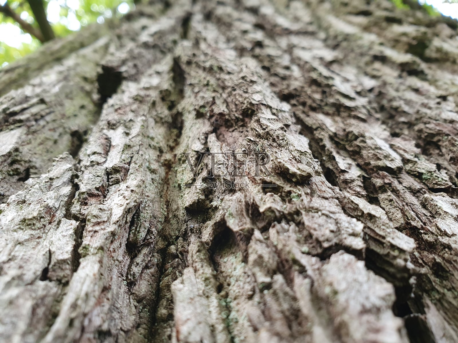 英国肯特郡梅德斯通摄影2021年照片摄影图片