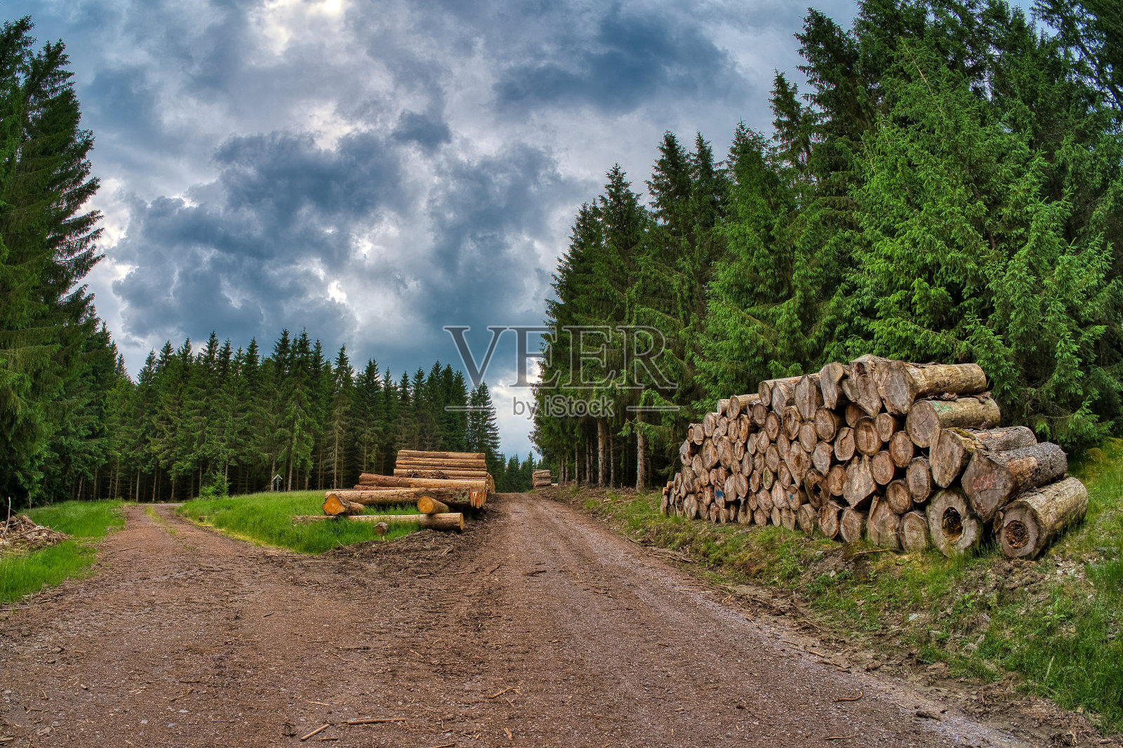 在图林根森林徒步旅行照片摄影图片