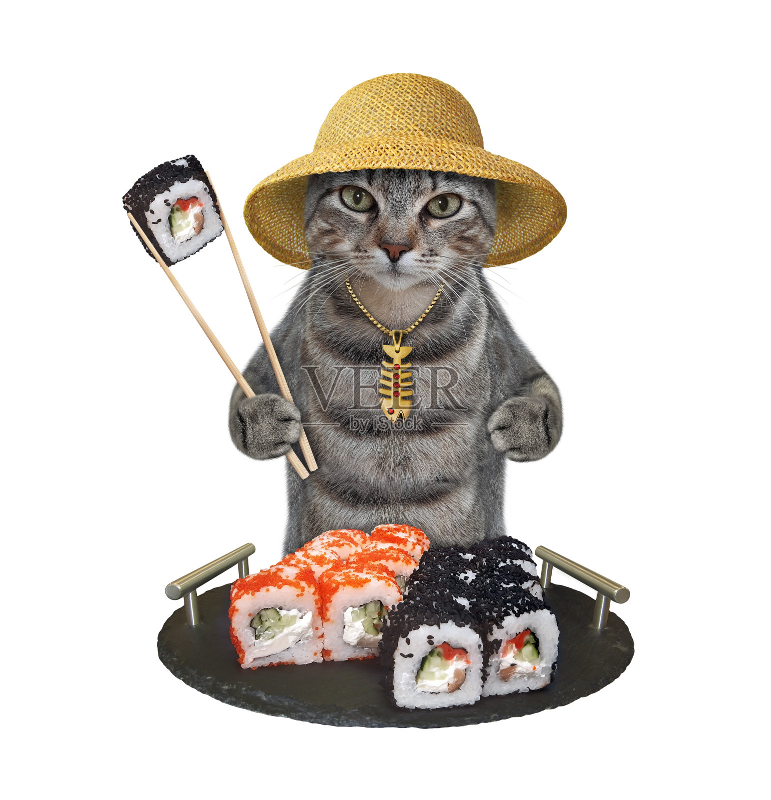 灰猫从有把手的托盘上吃寿司照片摄影图片