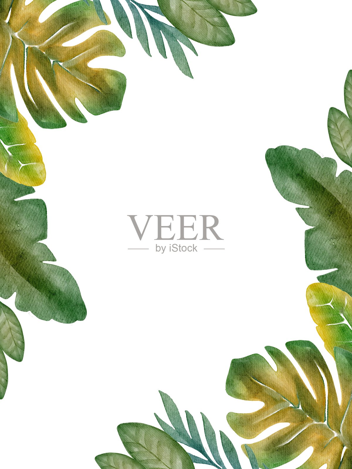 手绘水彩无聊的绿色热带树叶。用于海报，卡片，明信片，印刷，海报，婚礼，派对，小册子，传单插画图片素材