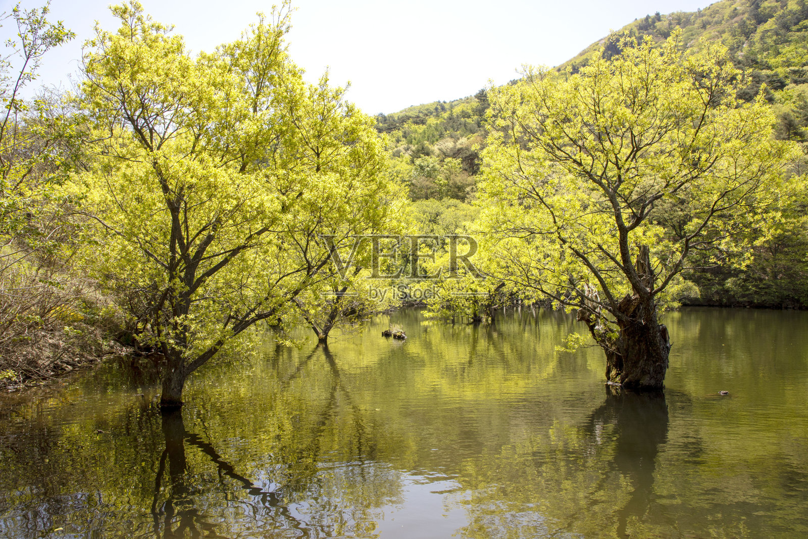 朱桑齐湖照片摄影图片