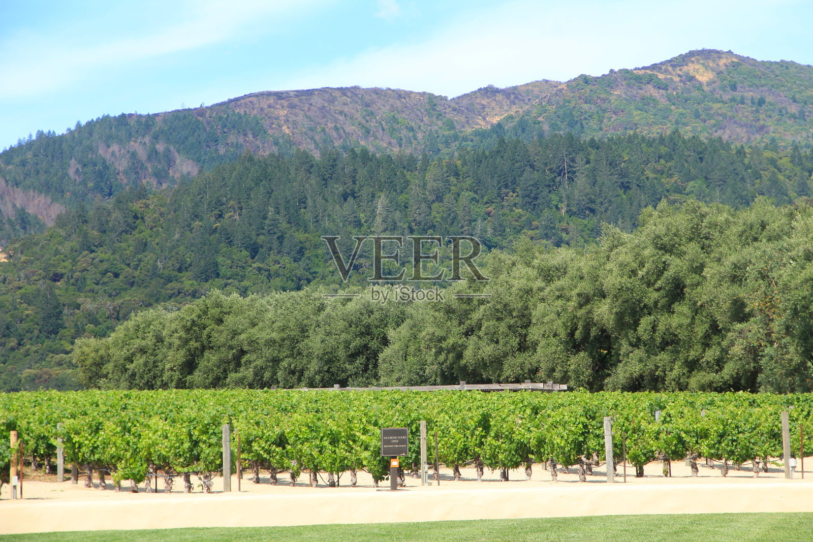 位于加州旧金山附近索诺玛谷的酿酒厂照片摄影图片