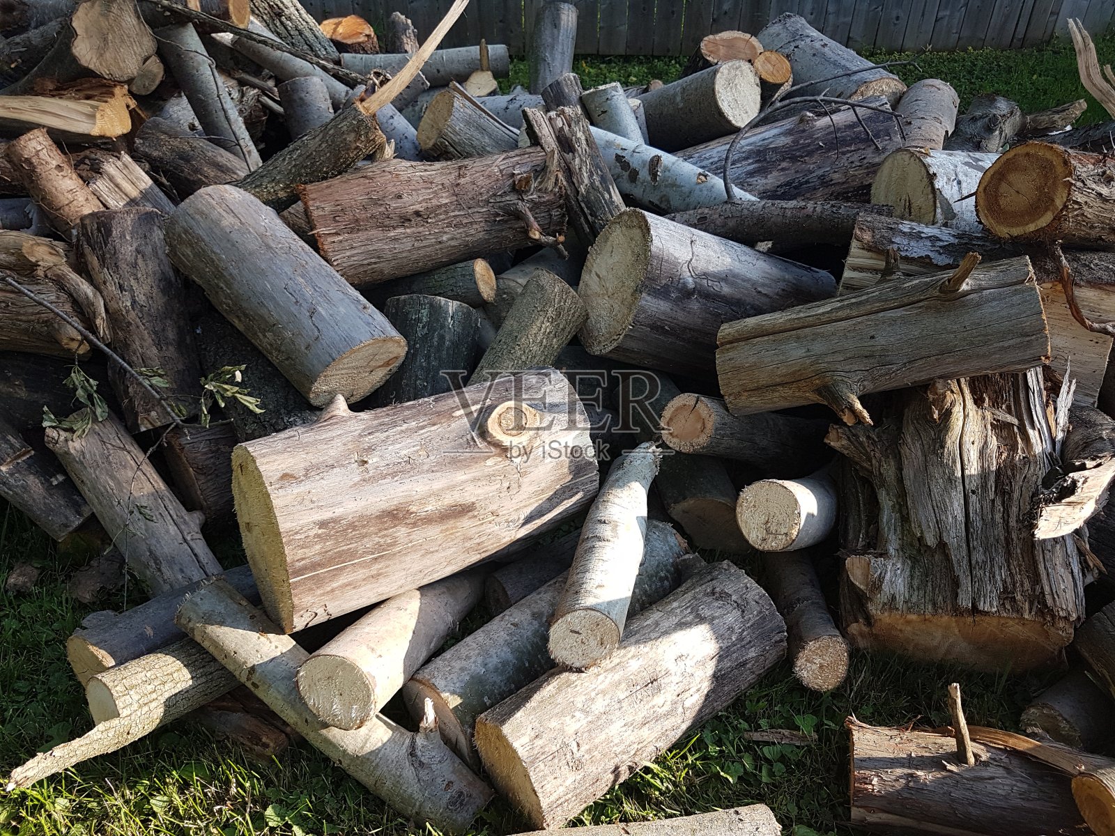 树林里出售照片摄影图片