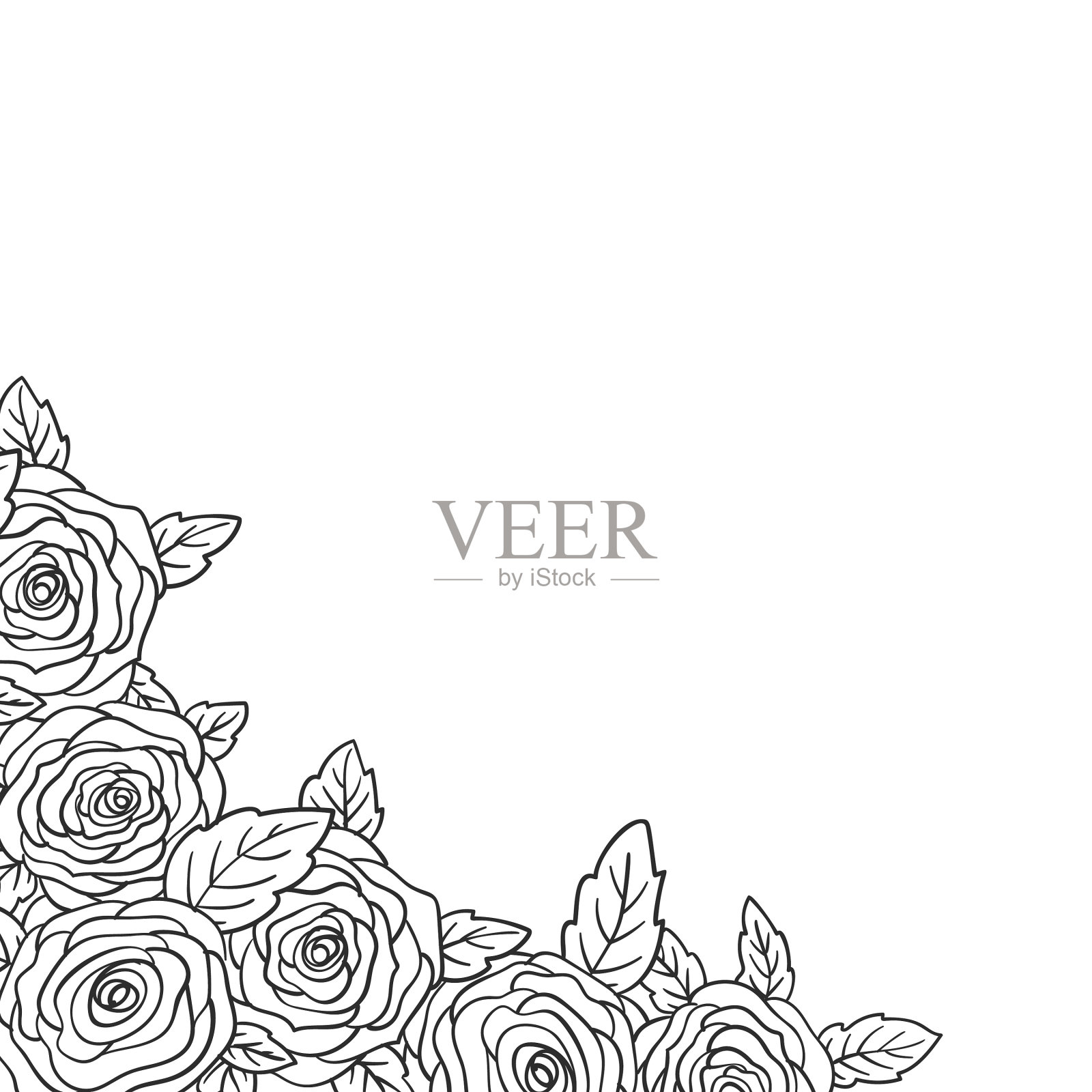 玫瑰花束的一角装饰花蕾和花蕾插画图片素材