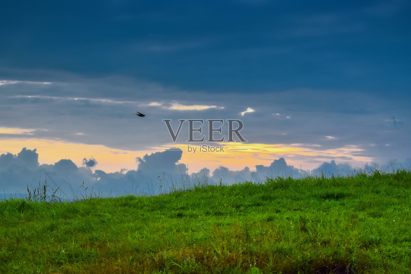 傍晚时分，昏暗的天空和美丽的颜色，蓝色的云，绿色的草地和鸟的剪影在天空。照片摄影图片