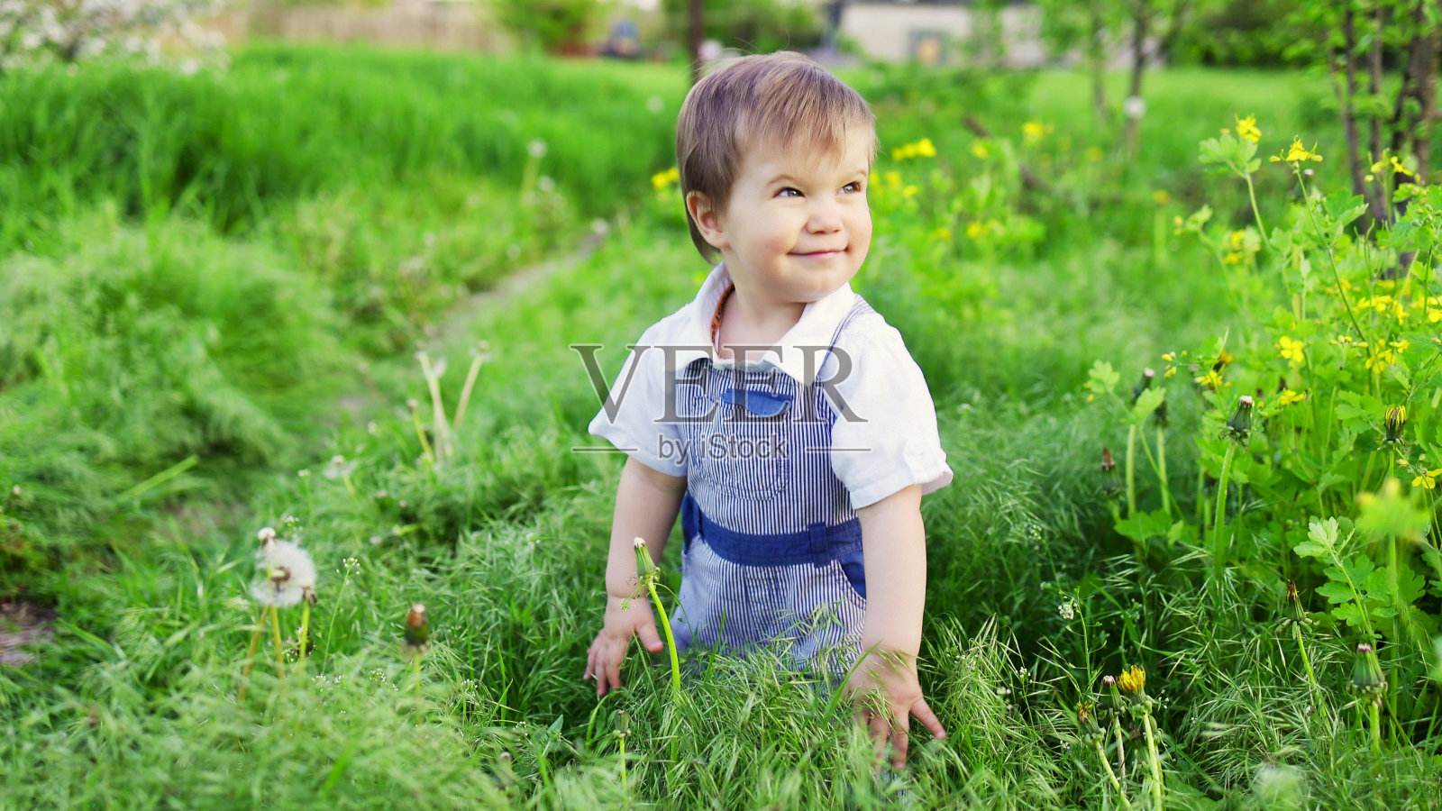 可爱的男孩穿着时髦的衣服和蓝色的眼睛在高大的草地上玩耍和跳跃在一个大的绿色盛开的花园照片摄影图片