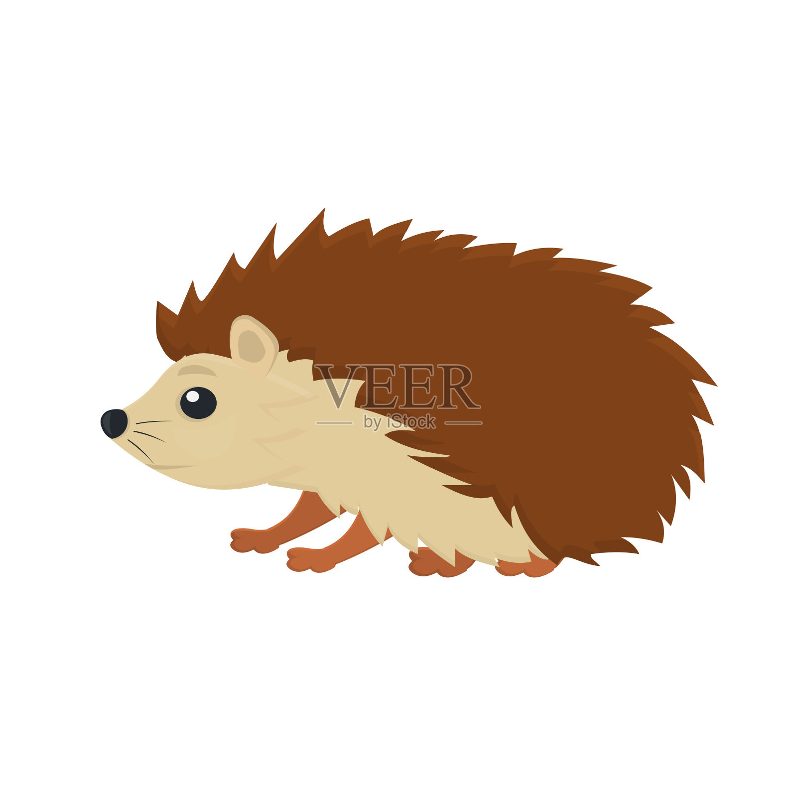 刺猬。动物刺猬插画图片素材