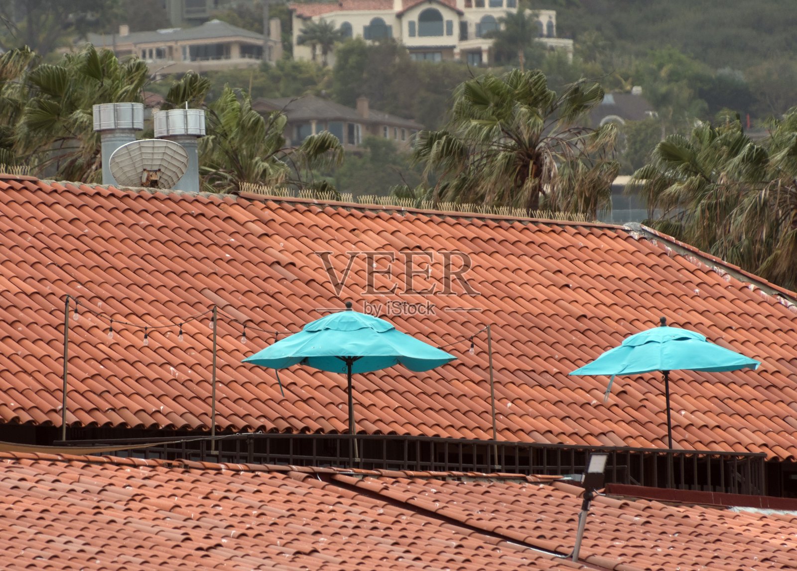 在南加州的拉霍亚，蓝色的雨伞在瓦片屋顶的海洋中照片摄影图片