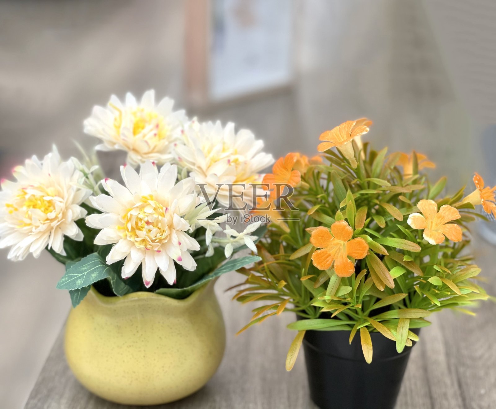 小两盆花在木头上模糊了背景照片摄影图片