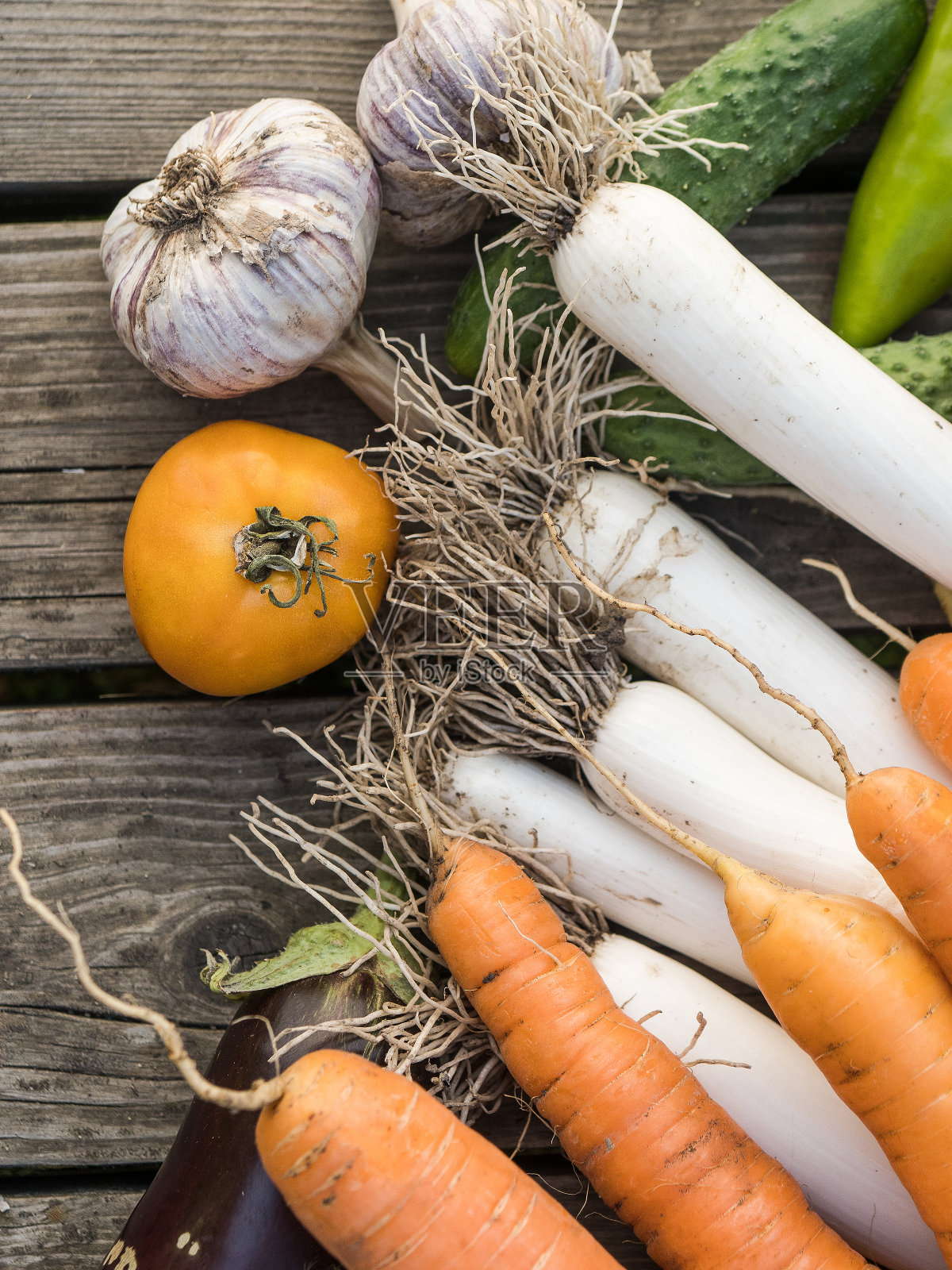 新鲜采摘的自家有机蔬菜照片摄影图片