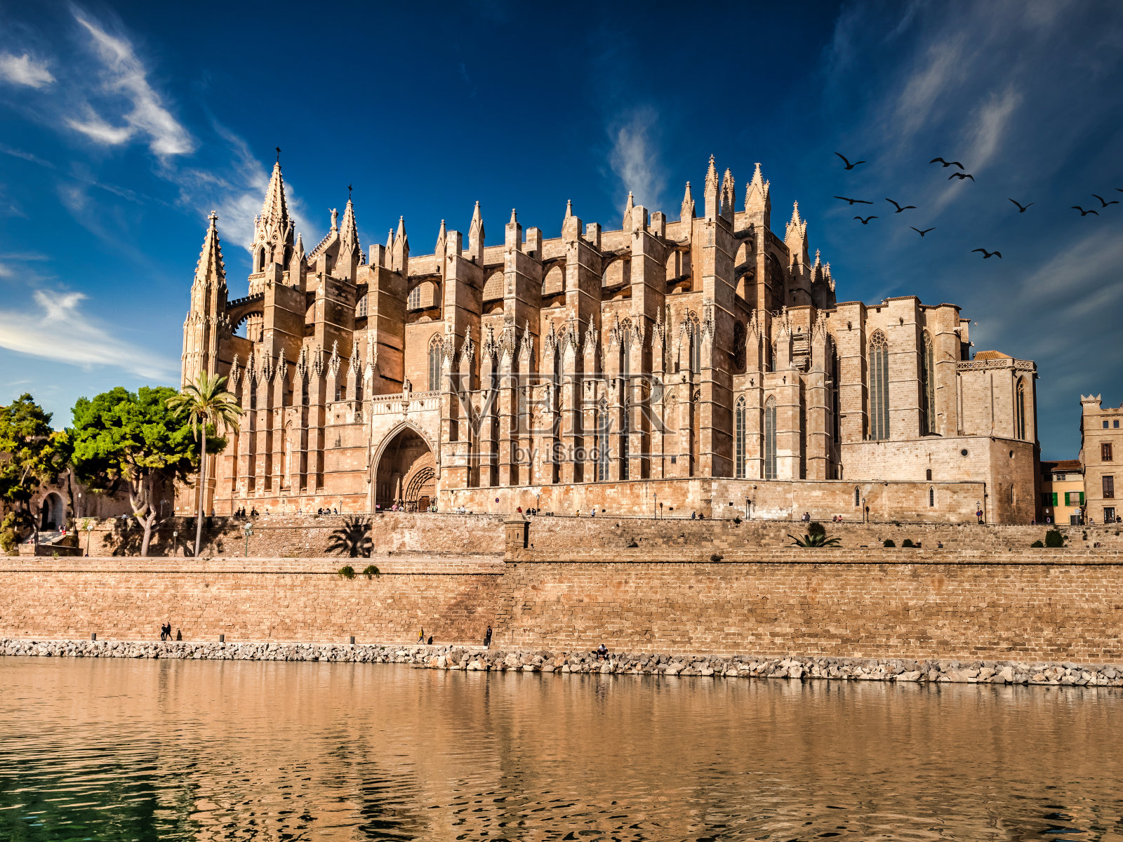 帕尔马大教堂圣玛丽亚左侧天空晴朗，鸟儿在飞翔，白昼，马略卡岛照片摄影图片