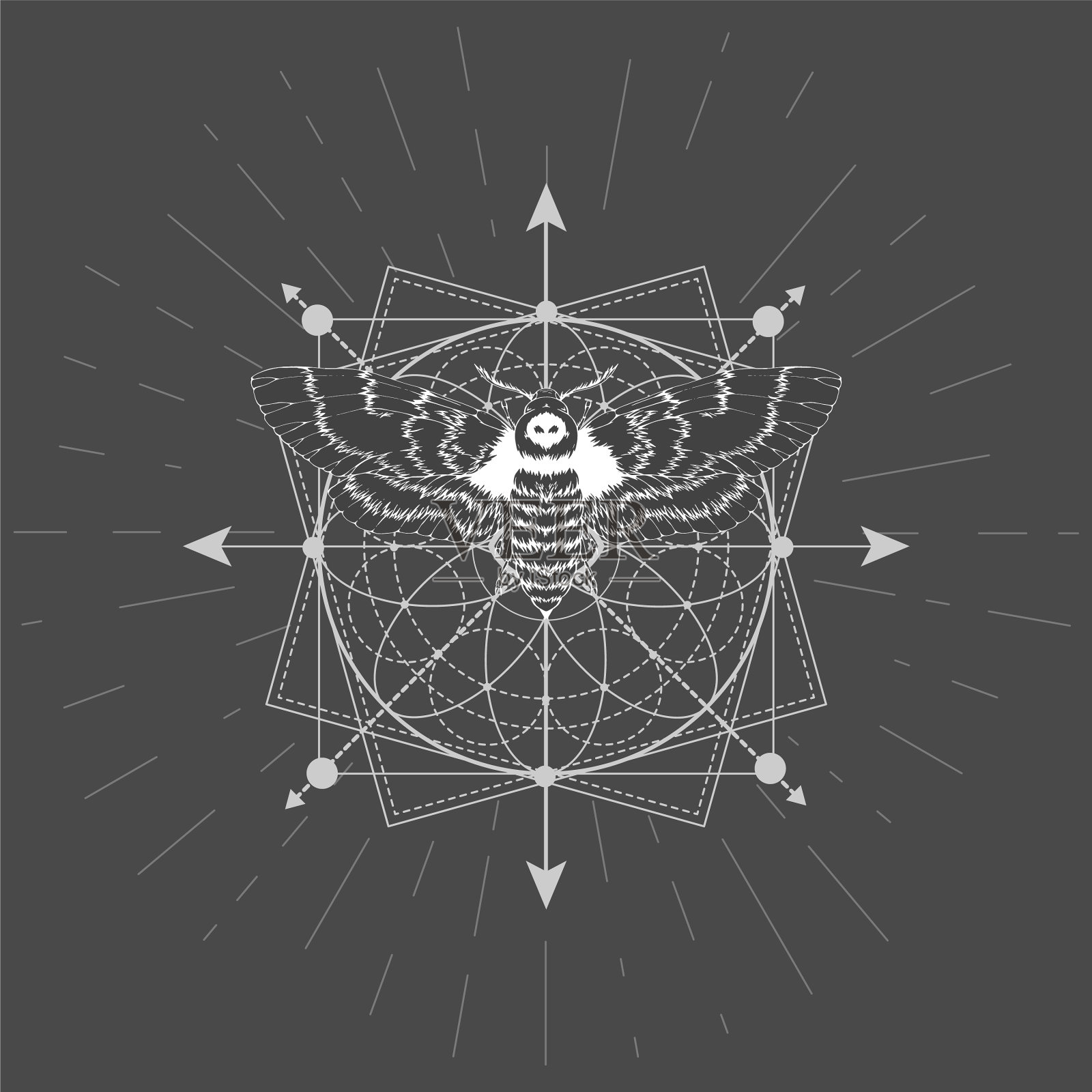 蝴蝶死去的头插画图片素材