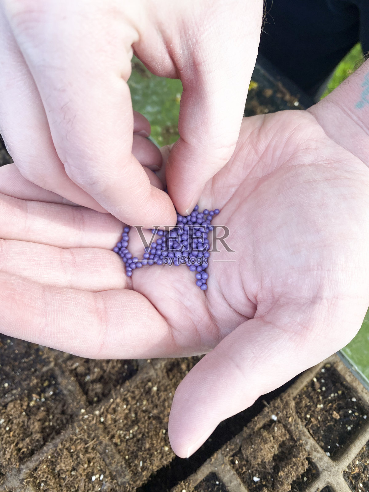 春天播种种子照片摄影图片