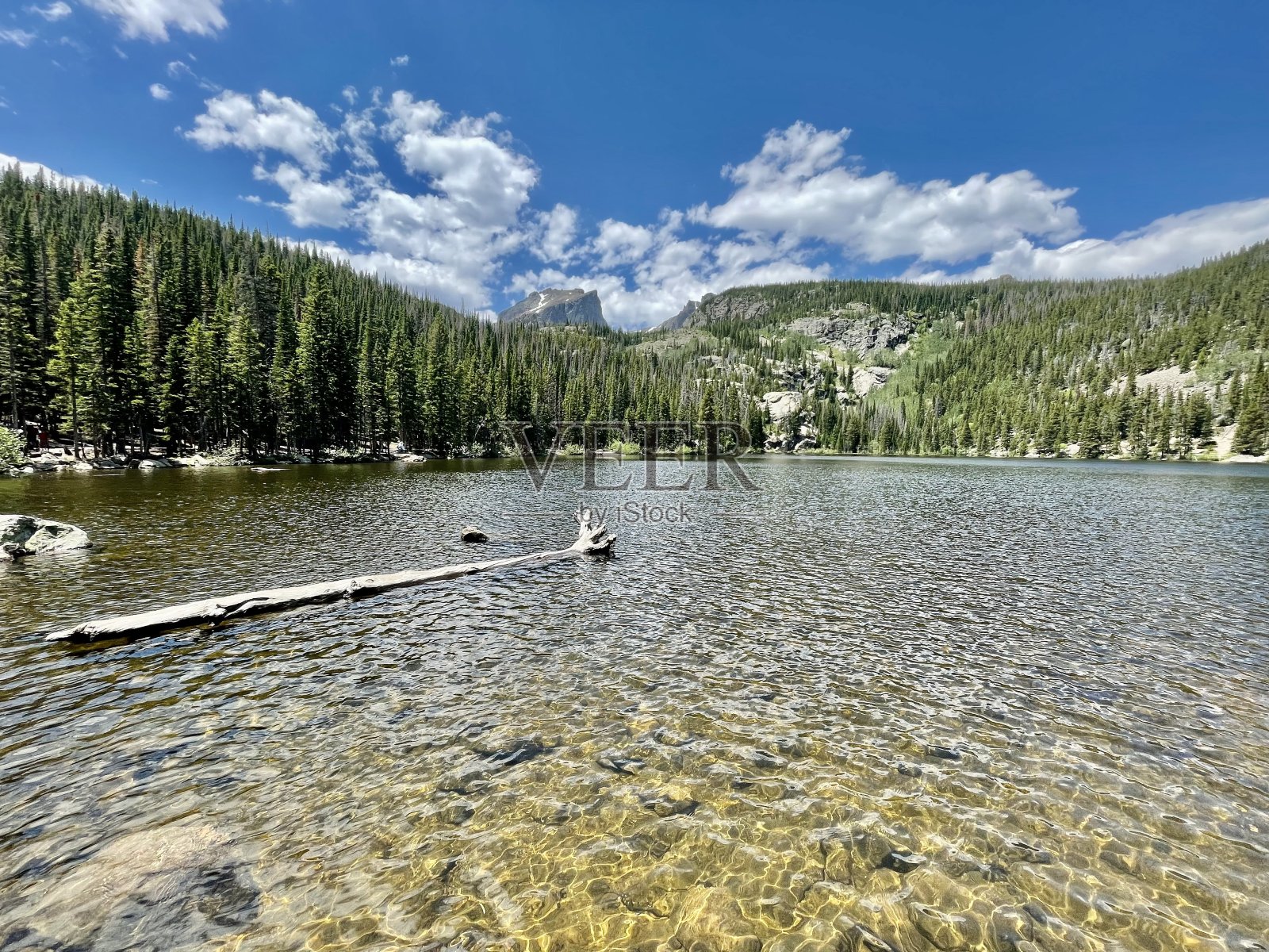 原始的荒野照片摄影图片