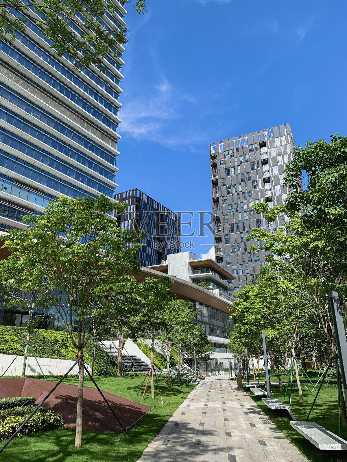 走进企业园区:树后是摩天大楼，周围是令人放松的环境照片摄影图片