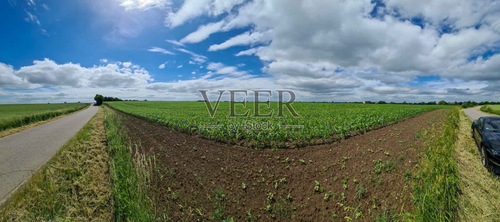 这是一幅北欧国家的全景图，有街道、田野和绿草。照片摄影图片